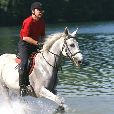 Stary Mlyn Strzeszyn Estalagem 3*