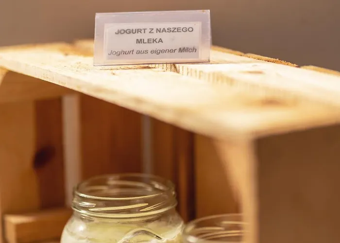 Stary Mlyn Strzeszyn Penzion