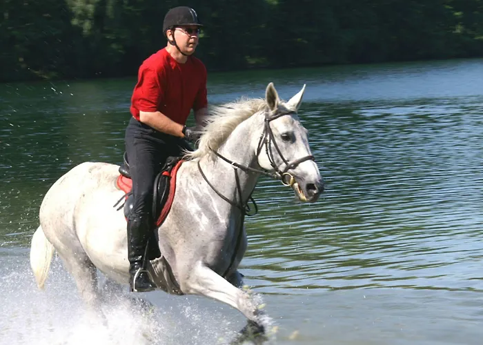 Stary Mlyn Strzeszyn Penzion 3*