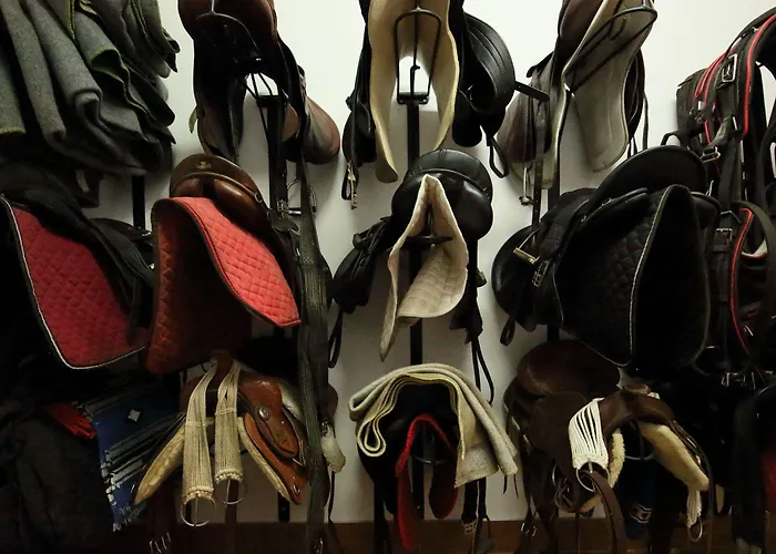 Stary Mlyn Strzeszyn