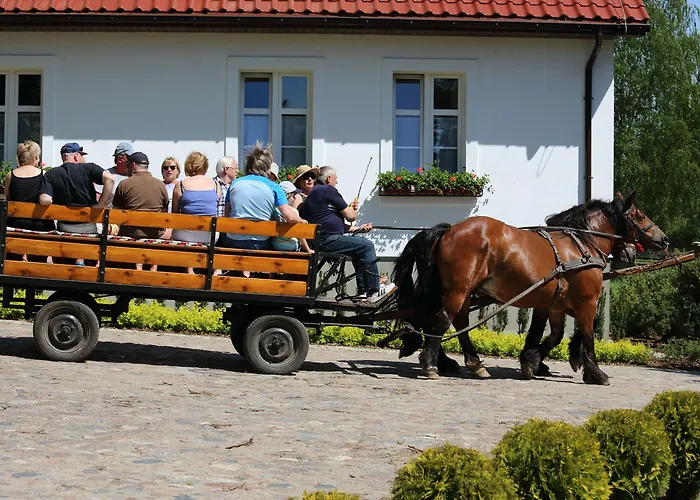 Penzion Stary Mlyn Strzeszyn 3*