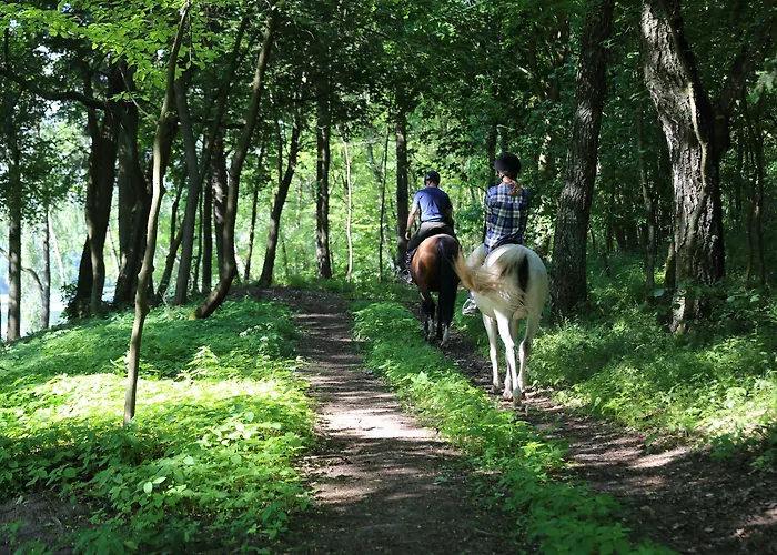 Penzion Stary Mlyn Strzeszyn Lubowo (Szczecinek)
